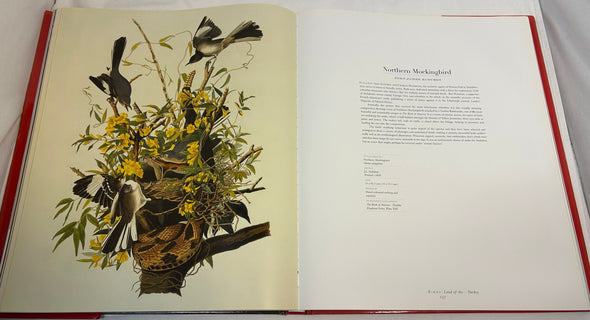 Birds Coffee Table Book, 223 Pages, 17" x 14" Excellent Condition