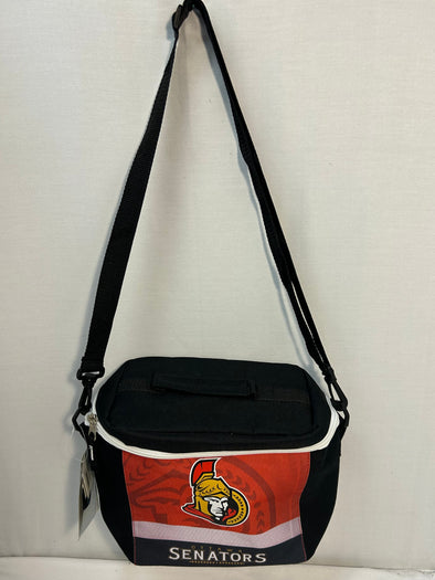 NHL Team Cooler Bag, Black Red Gold Logo on Front, 8" x 12"