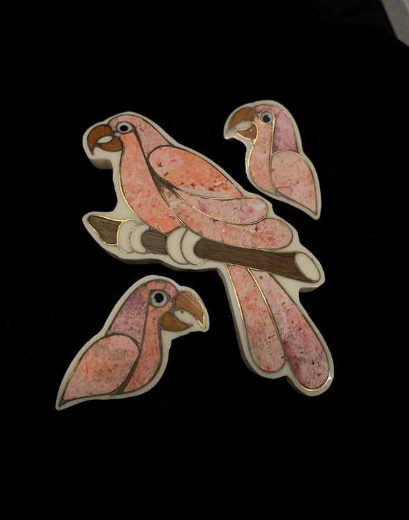 Parrot Pin and Earrings