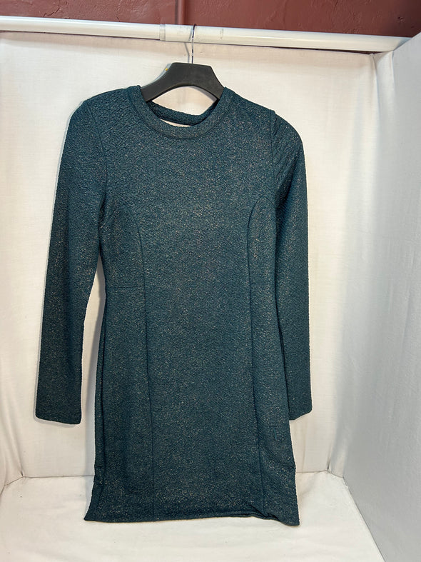 Ladies Silvery Green & Gold Dress, Size Large, NEW